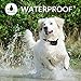 FRiEQ Dog Training Collar Remote Control Waterproof Rechargeable with Tone/Vibration/Electric Shock Modes for Small Medium Large Dogsthumb 1
