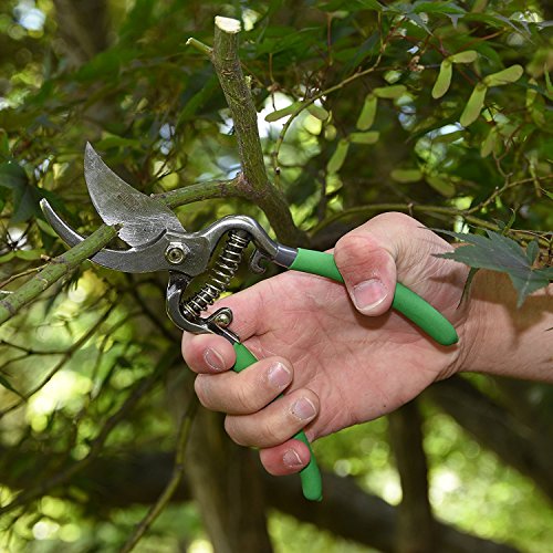 image for WilFiks Garden Pruning Shears - 8