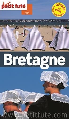 Download Petit Futé Bretagne PDF