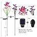 TONULAX Solar Lights Outdoor - Upgradedr Garden Light, Multi-Color Changing Lily Solar Flower Lights for Patio,Yard Decoration, Bigger Flower and Wider Panel (4 Pack,Red, 2 Purple, White)