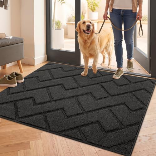 Biscpro Fußmatte Innen Außen 80x100cm Waschbar Eingangsteppich Innen Schmutzfangmatte rutschfest,Türmatte Innen Teppich Für Eingang, Patio, Flur, Gart