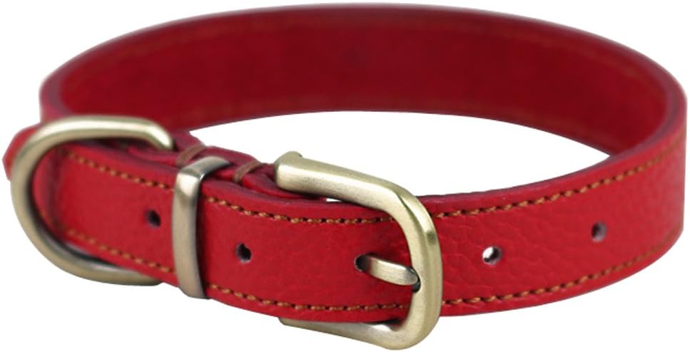 medium dog collar size in cm