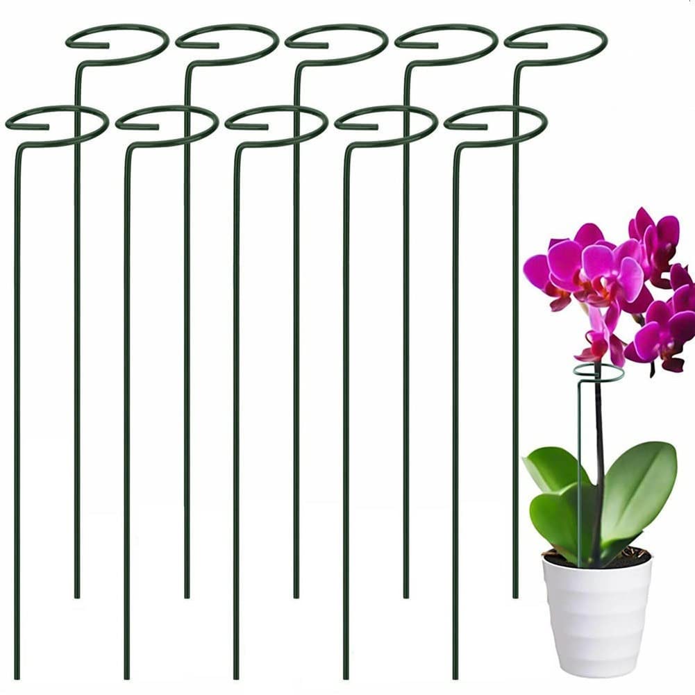 POIWEYR Plant Support Stakes, 10 Pack 20 Inches Metal Support Plant Cages & Supports Stem, Garden Single Stem Support Stake Plant Sticks Support for Tomatoes, Peony, Lily, Rose, Flowers Amaryllis