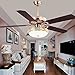 RainierLight Ceiling Fan Lamp 52 Inch 5 Wood Blades LED Dimmable Light(Yellow,Warm,White Light) Remote Control for Indoor/Bedroom/Living Room Mute Energy Saving Fan Home Decoration