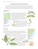 Image de The World Encyclopedia of Wild Flowers and Flora: An authorative guide to more than 750 wild flowers of the world. Beautifully illustrated with over .