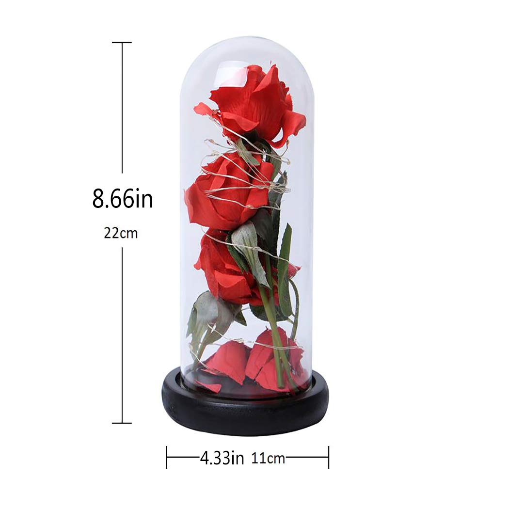 Beauty and The Beast,FunPa 3PC Forever Flower and Warm White LED Light with Fallen Petals in Glass Dome on a Wooden Base Best Gift for Valentine\'s Day Birthday Anniversary Valentine\'s Day