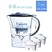 Jorlyen Water Filter Pitcher, Water Purifier Pitcher Includes 3 Filters, Water Filtration System for Elimination of Fluoride, Lead, Chlorine, Chromium, BPA, 10 Cup / 2.5L(Blue)