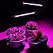 GreenLaren 20W Dual Head LED Grow Light, 40 LED Chips with 3 Spectrums Plant Light for Indoor Plant, Grow Lamp with 24H Mechanical Outlet Timer and 360°Flexible Gooseneck Arm