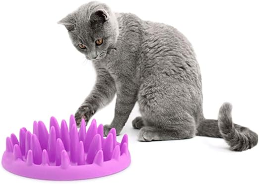 lab mix puppies for adoption near me