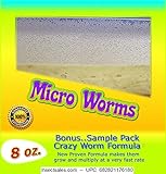 Insectsales.com Micro Worm Producing Culture (Live 8 oz.).1000's of Worms in The Culture ... (Standard)