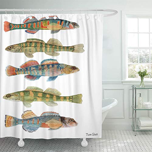 Semtomn Shower Curtain Watercolor Fish Freshwater Darters Bass