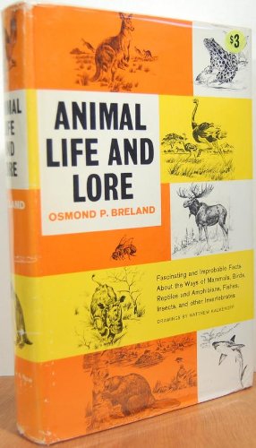 Animal Life and Lore by Osmond P. Breland (Hardcover)