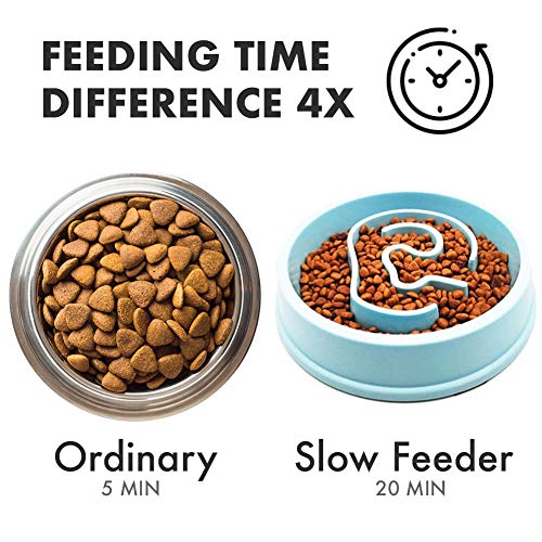 QuetZYan Slow Eating Pet Bowl Slow Maze Bowl Bloat Stop Dog Bowl Slow