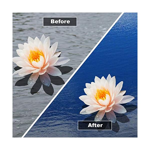 HYDRA-LIQUID-BLUE-DYE-250ml-treats-UpTo-31250-litres-For-Water-Features-and-Fountains-Indoor-and-Outdoor HYDRA LIQUID BLUE DYE 250ml treats UpTo 31,250 litres For Water Features and Fountains (Indoor and Outdoor)