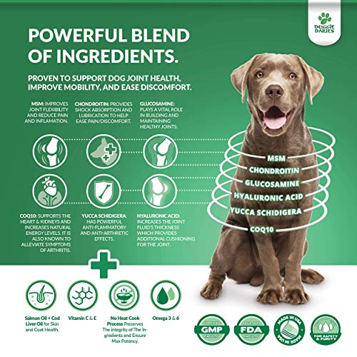 4 Doggie+Dailies+Glucosamine+Dogs+Chondroitin