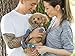 RC Pets PAWks Dog Socks, Paw Protection, Large, Slate Argyle