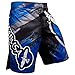 Hayabusa Chikara 3 Fight and MMA Shorts (Blue, 34)