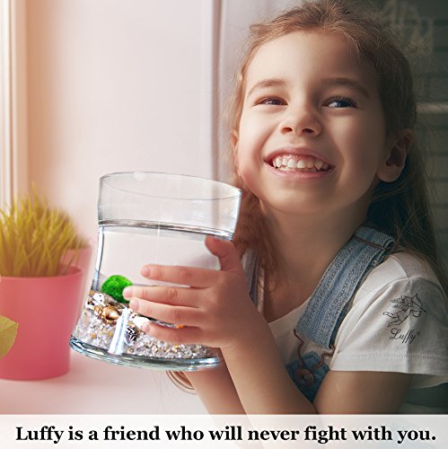 Luffy Pet Plant for All Ages -- 6 Nano Moss Balls - Friendly, Compact & Low Maintenance Aquatic Pet - Lifelong Friend - Ideal for children or adults with busy schedule or little space