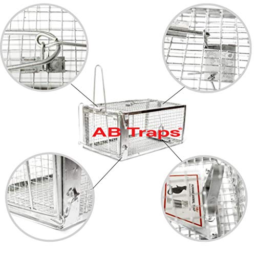 AB Traps Quality Medium Live Animal Humane Trap Catch and Release Cage