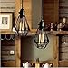 Metal Lamp Cage, Pendant Light Shade, Adjustable Bulb Guard, Ceiling Fan Light Covers, Anti-Rust - Sturdy Bulb Cage, Hanging Light Cage for Industrial Vintage Style Lighting Fixture, 4 Packs (Small)