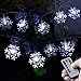 Homeleo 50 Led Cold White Snowflake LED Fairy Lights with Remote Control, Battery Powered Snowflake Shaped LED String Lights for Christmas Outdoor, Party, Wedding, New Year, Garden Décor