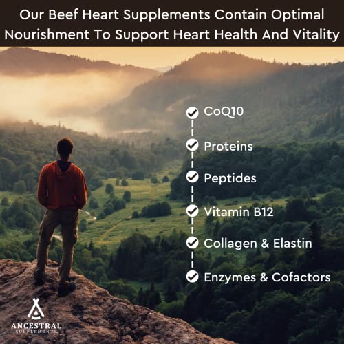 Ancestral Supplements Grass Fed Beef Heart Supplement, 3300mg, CoQ10