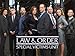 Law & Order: Special Victims Unit Season 10