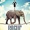Rogue Elephants One Pr Girl S Fight Through The Human