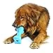 Planet Dog Orbee-Tuff Bone Blue Dog Chew Toy, Large