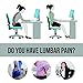 Lumbar Support Pillow Cushion, Memory Foam Soft & Firm to Protect & Soothe Lower Back, Pain Relief, Orthopedic, Velvet Washable Cover, Cool Gel, Adjustable Straps Ideal Gift Home Office Chair Car Seat