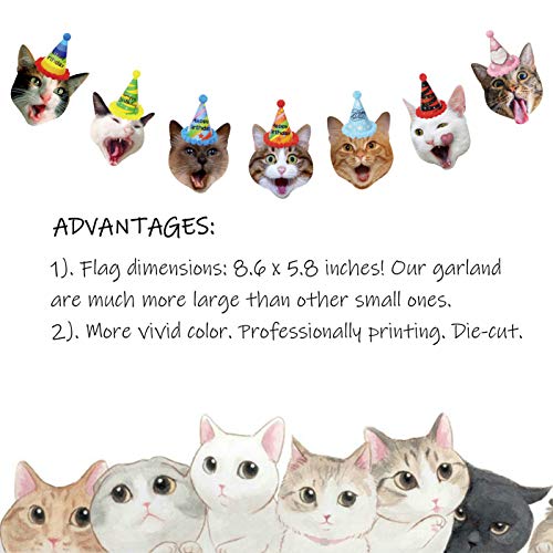 Cat Birthday Garland, Cat Party Supplies Decorations, Kitty Face Bunting with Birthday Hat on Head