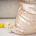 YOUR SMILE Pack of 2, New Luxury Series Rose Gold Decorative Glitzy Sequin & Comfy Satin Solid Throw Pillow Cover Cushion Case 18
