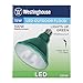 Westinghouse 0314900 15W PAR38 LED Outdoor Bulb, Flood Green E26 (Medium) Base, 120V, Box