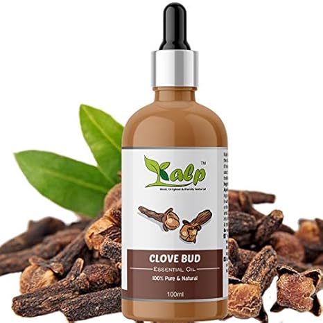 Buy Kalp Clove Bud Oil Pure Therapeutic Grade Cloves Bud Oil For