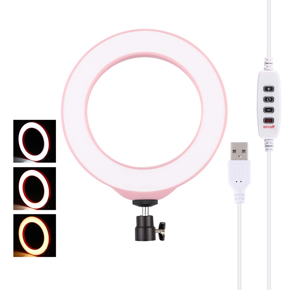 PULUZ 6.2 inch Selfie LED Ring Light Video Lights with Cold Shoe Tripod Ball Head for make-up and YouTube Video vlogging equipment