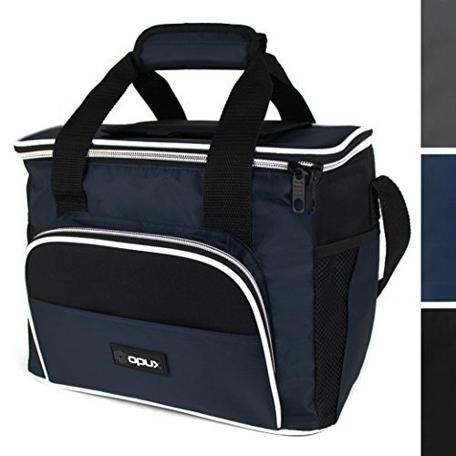 Premium insulated lunch bag, mini cooler with shoulder …