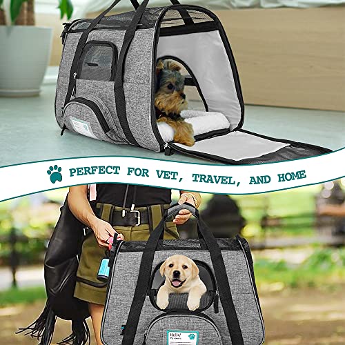 PetAmi Premium Airline Approved SoftSided Pet Travel Carrier Ventilated, Comfortable Design