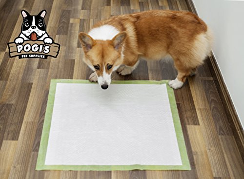 Pogi's Pee Pads (20-Count) - Earth-Friendly, Large, Super-Absorbent, Training Pads for Dogs - Thumbnail 3