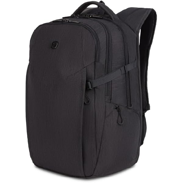 Amazon.com: SwissGear 8183 Laptop Backpack, Charcoal Heather, 18