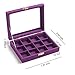 New Wayzon 12 Grids Jewelry Holder Organizer Box Storage Case Earrings Rings Disply with Lock for Women Girls (Purple)