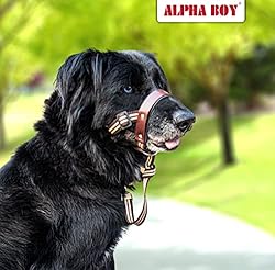 ALPHA BOY Dog Training HeadCollar – Comfortable