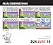 Pearls Before Swine 2017 Day-to-Day Calendar