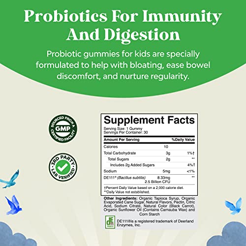 Immune Booster Kids Probiotic Gummies Bacillus Subtilis Probiotic for