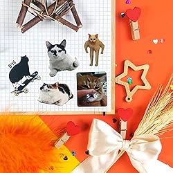 BulbaCraft 100Pcs Cat Meme Stickers - Funny Cat