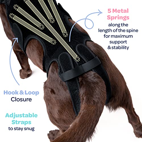 Labra Dog Canine K9 Back Brace IVDD Spine Pain & Spinal Injury