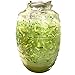 Made in Mexico Aguas Frescas 5-Gallon Vitrolero Plastic Water Container For Water Juice Party