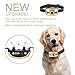 Dog No Bark Collar with Smart Detection Vibration and Harmless Shock- Rechargeable Anti Barking Device for Small Medium and Large Dog (Gold)thumb 1