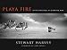Playa Fire: Spirit and Soul at Burning Man by Stewart Harvey
