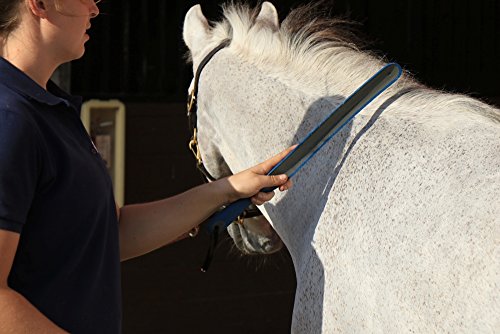 Oster Sweat Scraper - Image 2