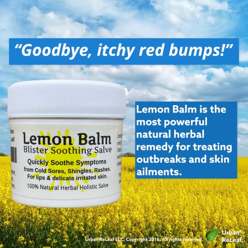 Urban ReLeaf Lemon Balm Salve! Quickly Soothe Itchy Blisters, Rashes